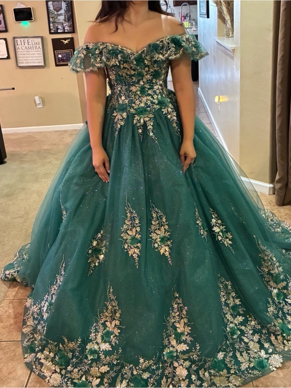 Off-Shoulder Emerald Floral Appliqué Ball Gown/Quinceañera/Debut dress. Brandnew